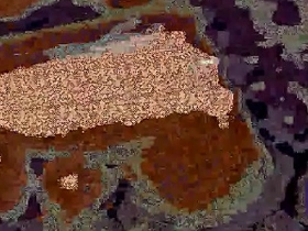 Dick videotape gay asian porn video