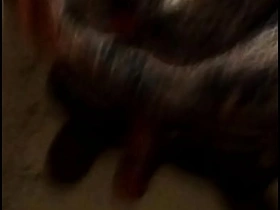 JAPANESE WOMAN porn chinese gay guys