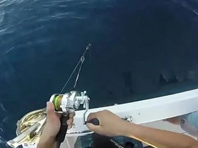 Japanese gay  fishing gay chinese public porn twitter